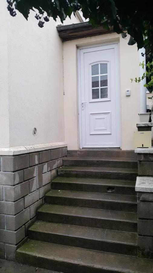 Grand Appartement Avec Terrasse & Jardin A 5 Minutes De Paris Cachan Exteriör bild